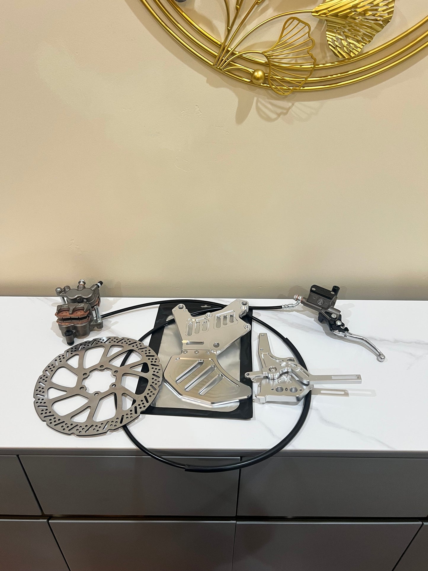Surron LBX / Eride Pro Ultra Bee Hand + Footbrake Kit (Ramped Racing)