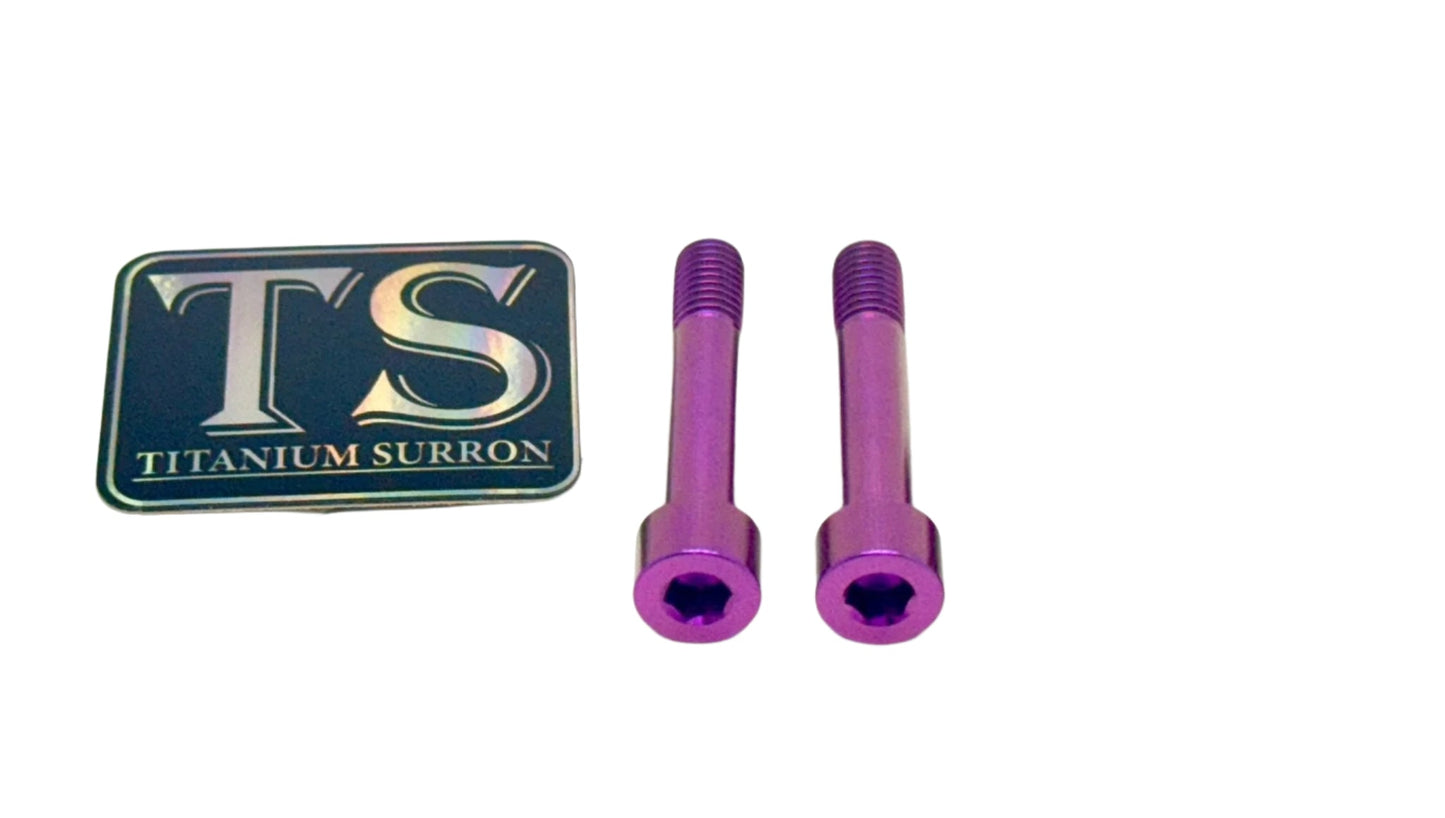 Titanium Hardware for EMoto Worx Shift Lock (LBX, XXX, ERP, Ultra Bee)
